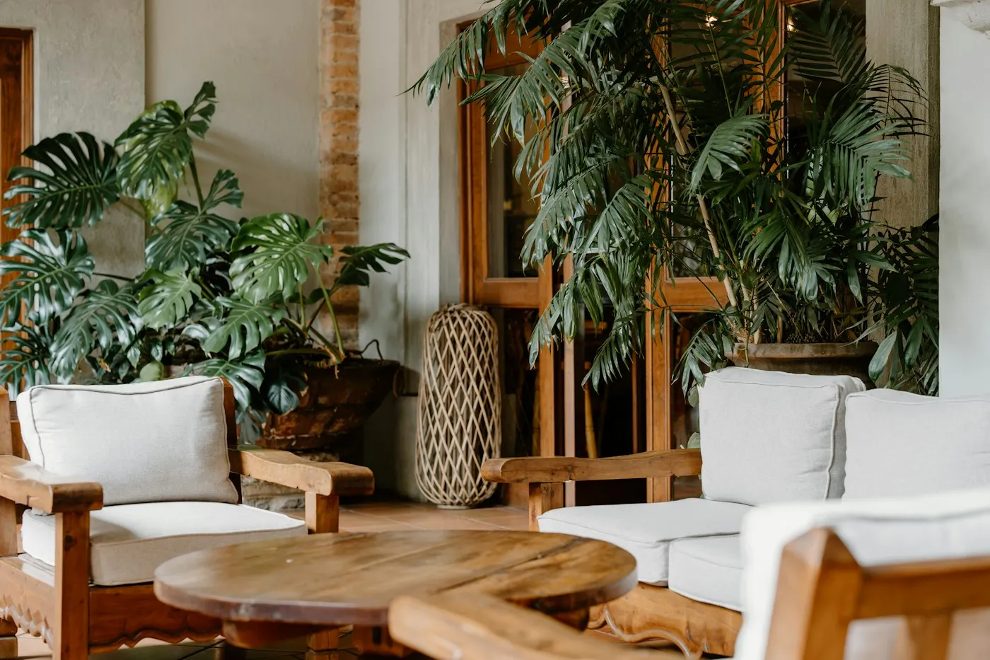 Comfortable living space with natural wood furniture and green plants